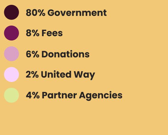 percentages for revenue's pie chart 2023