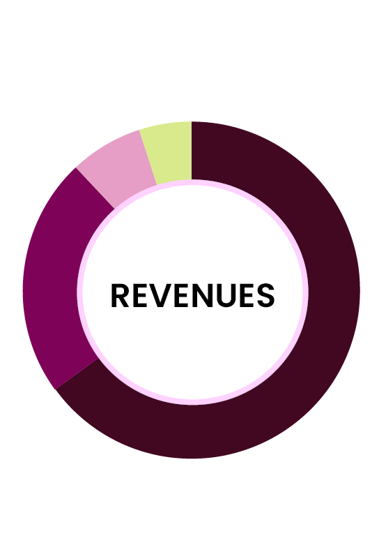 revenue pie chart