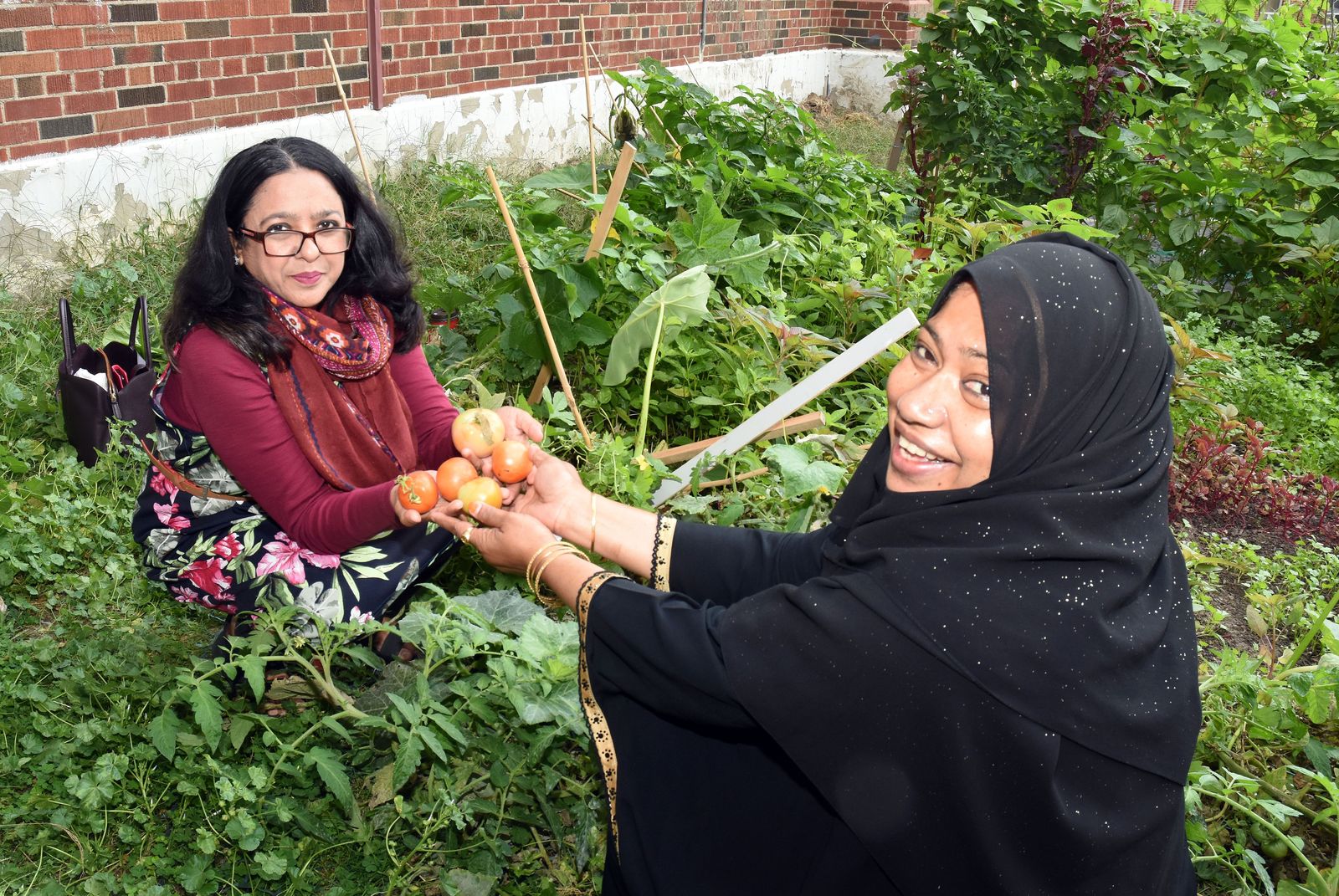 two women working in a garden