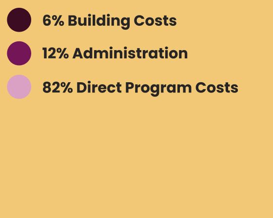 percentages for expenses's pie chart 2025