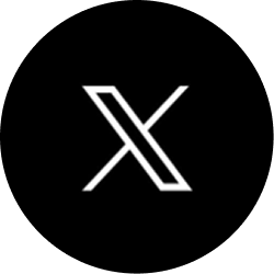 x icon