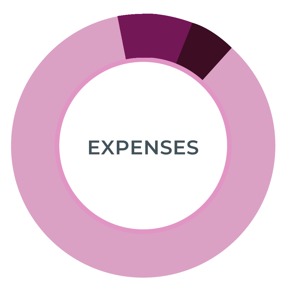 pie chart for expenses 2025