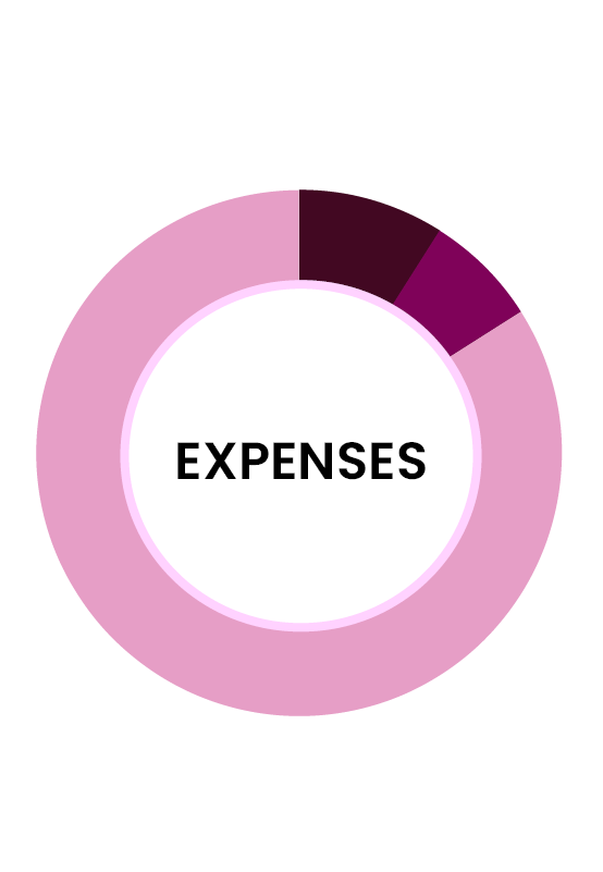 expense pie chart
