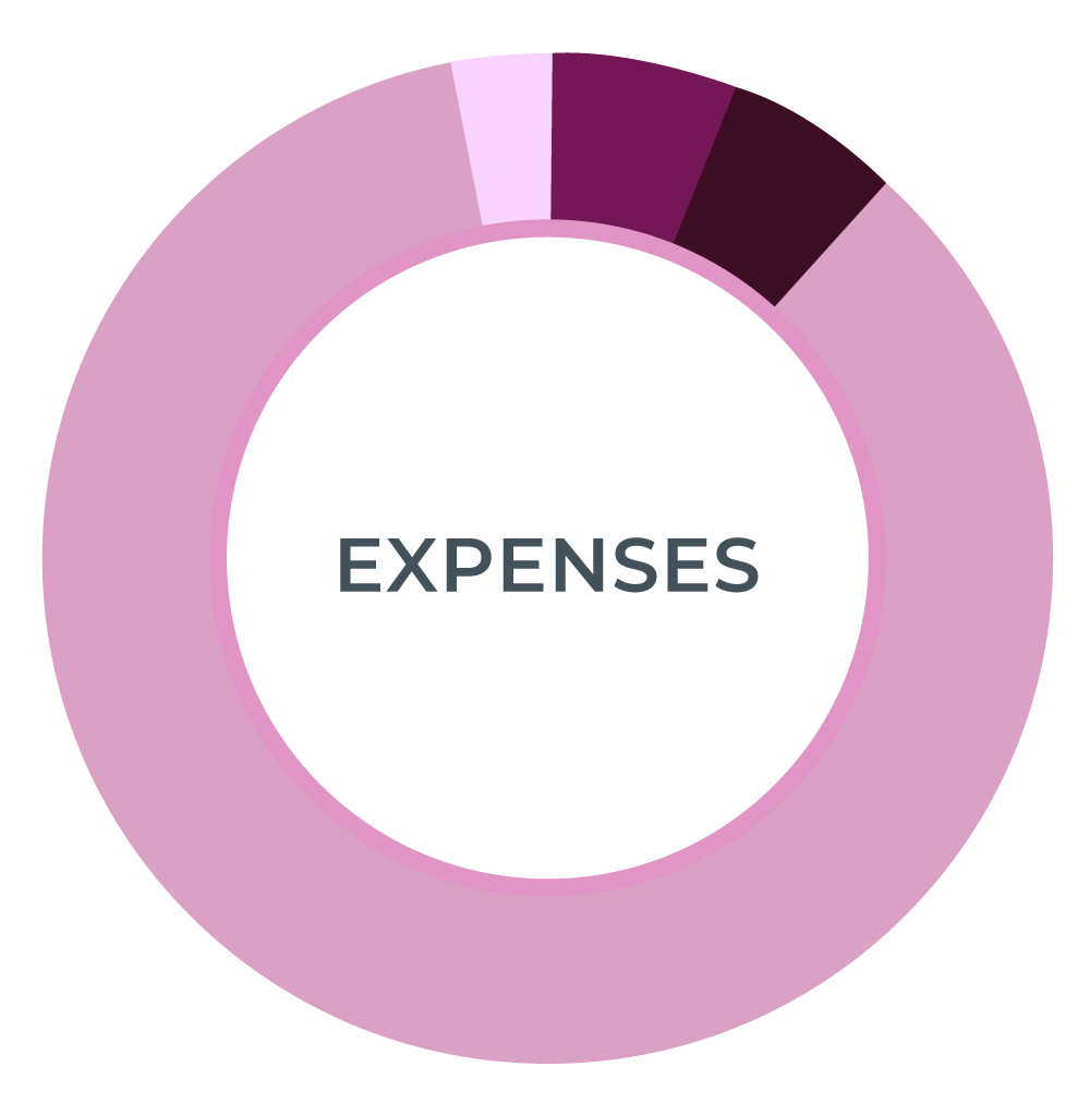 pie chart for expenses 2024