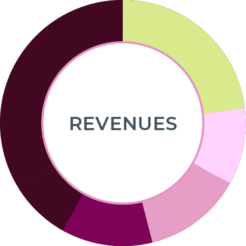 pie chart for revenue 2025